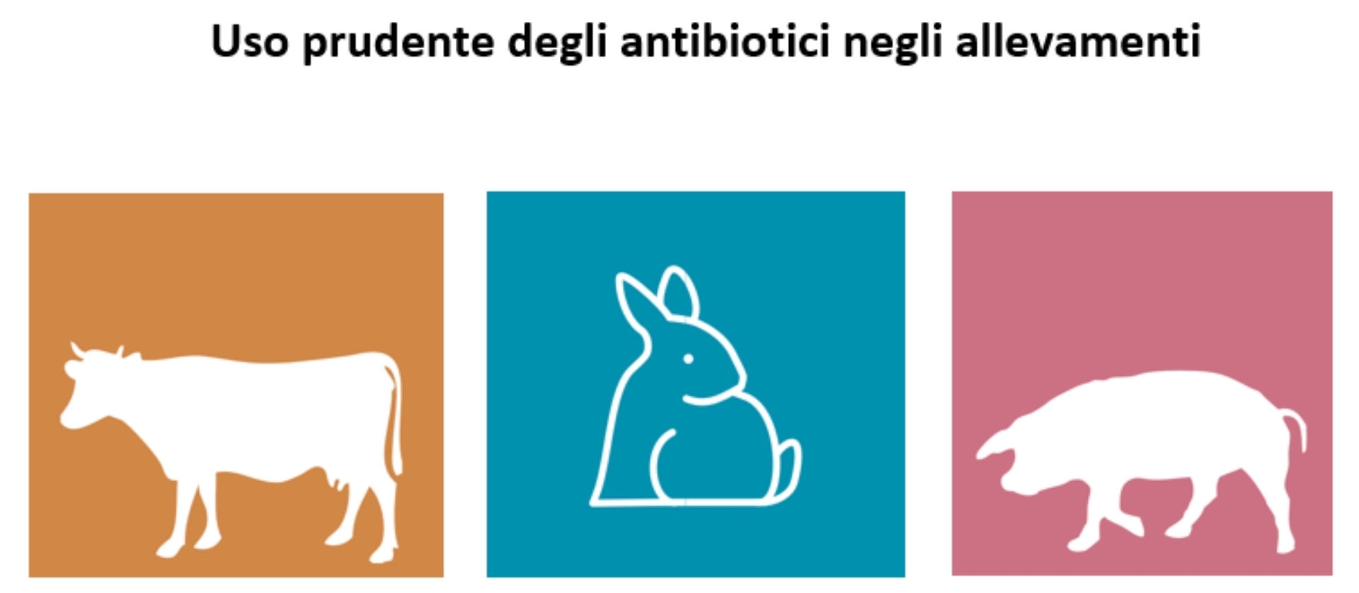 Linee guida antibiotici