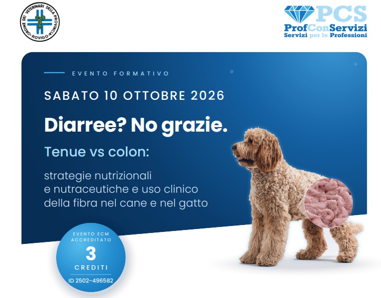 Diarree? No grazie. Tenue vs colon: strategie nutrizionali e nutraceutiche e uso clinico della fibra nel cane e nel gatto
